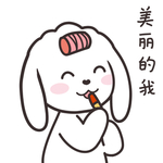 兔小飞