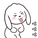 兔小飞