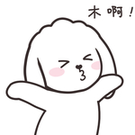 兔小飞