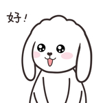 兔小飞