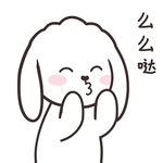 兔小飞