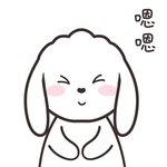 兔小飞