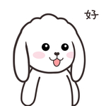 兔小飞