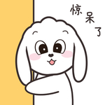 兔小飞