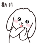 兔小飞