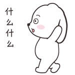 兔小飞
