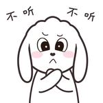 兔小飞