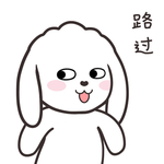 兔小飞