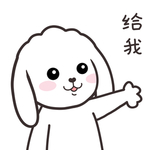 兔小飞