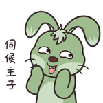 兔小多