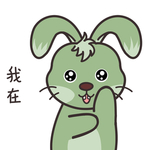 兔小多