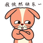 兔小皮
