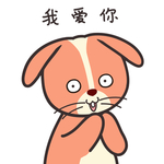 兔小皮