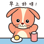 兔小皮