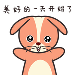 兔小皮