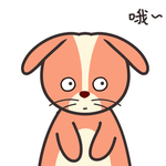 兔小皮