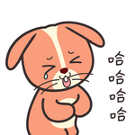 兔小皮