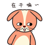 兔小皮