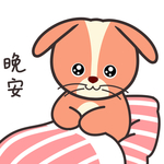 兔小皮