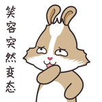 兔小美