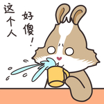 兔小美