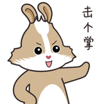 兔小美