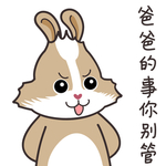 兔小美