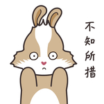 兔小美