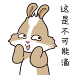 兔小美