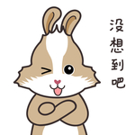 兔小美