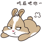 兔小美