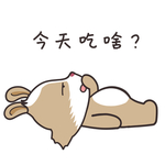 兔小美