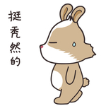 兔小美