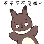 兔小格
