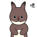 兔小格