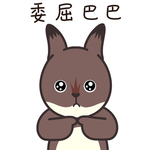 兔小格