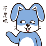 兔小乖