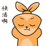 兔小安