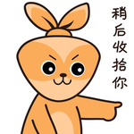 兔小安