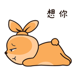 兔小安