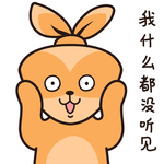 兔小安