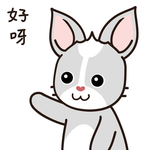 兔小哈