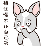 兔小哈