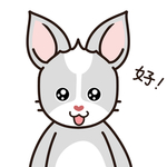 兔小哈