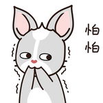 兔小哈