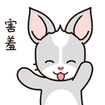 兔小哈