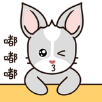 兔小哈