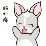 兔小哈