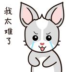 兔小哈