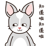 兔小哈